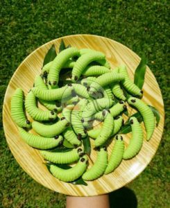 Resep Caterpillar Cookies 2