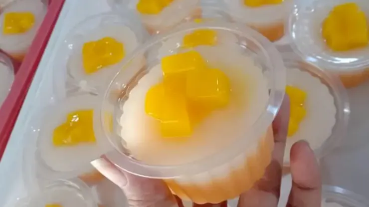 Resep Puding Mangga Nutrijell Sederhana