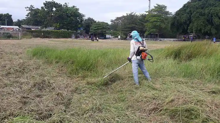 8. Jasa Potong Rumput