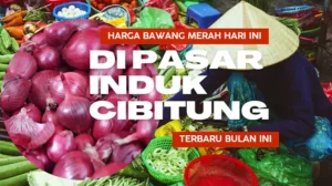 Harga Bawang Merah Hari Ini di Pasar Induk Cibitung Terbaru