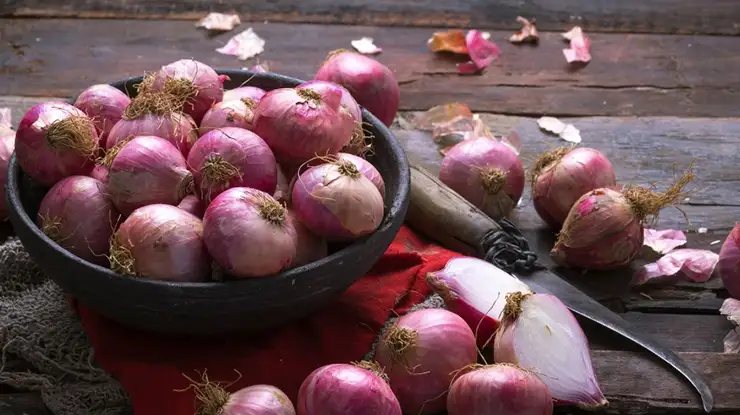 Harga Bawang Merah Hari Ini di Pasar Induk Cibitung