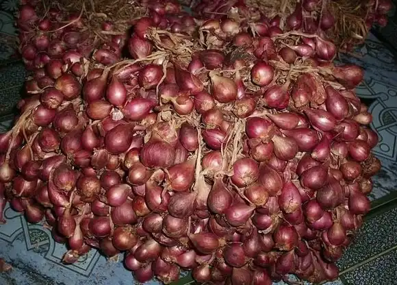 Harga Bawang Merah Brebes Hari Ini Pasar Induk Cibitung Terbaru