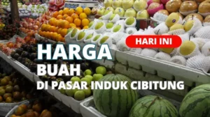 Harga Buah Di Pasar Induk Cibitung Terbaru