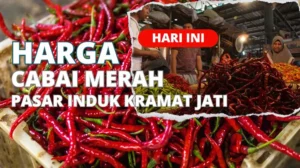 Harga Cabai Merah di Pasar Induk Kramat Jati Hari Ini