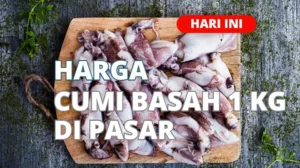 Harga Cumi Basah 1 Kg di Pasar Terbaru