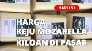 Harga Keju Mozarella Kiloan di Pasar Terbaru Hari Ini