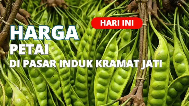 Harga Petai di Pasar Induk Kramat Jati