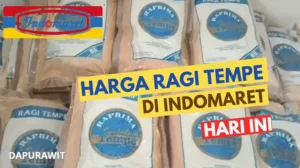 Harga Ragi Tempe Di Indomaret Hari Ini