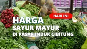 Harga Sayur Mayur di Pasar Induk Cibitung Hari Ini