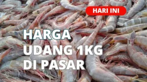 Harga Udang 1kg Di Pasar Terbaru Hari Ini