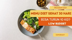 Menu Diet Sehat 30 Hari Turun 10 Kg Murah Meriah